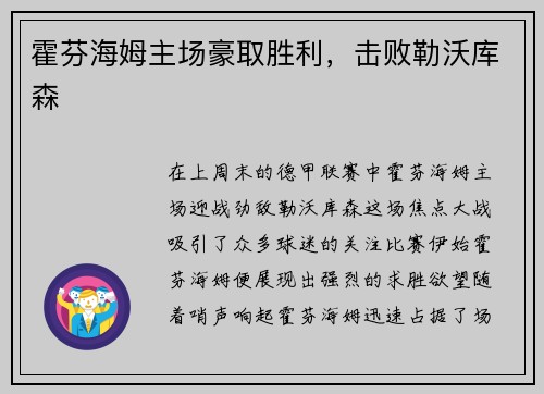 霍芬海姆主场豪取胜利，击败勒沃库森
