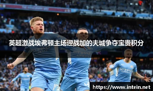英超激战埃弗顿主场迎战加的夫城争夺宝贵积分